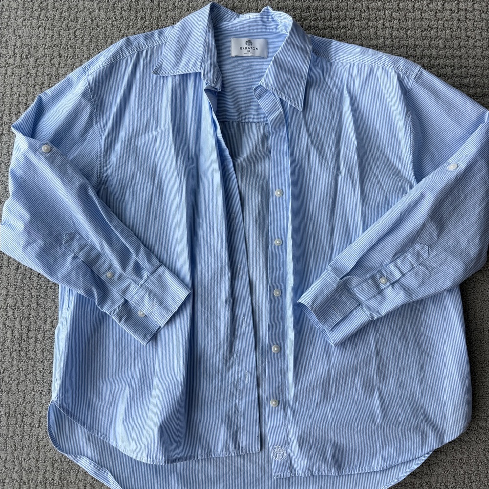 Aritzia Light Blue Button Down Shirt